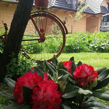 Sebahouse *