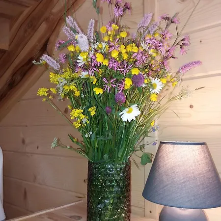 Alpesi faház Sebahouse *